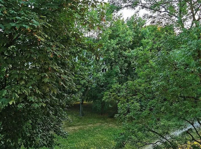 Apartament Nowoczesny W Sercu Wrocławia *